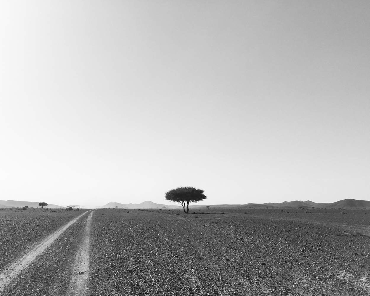 Horizons